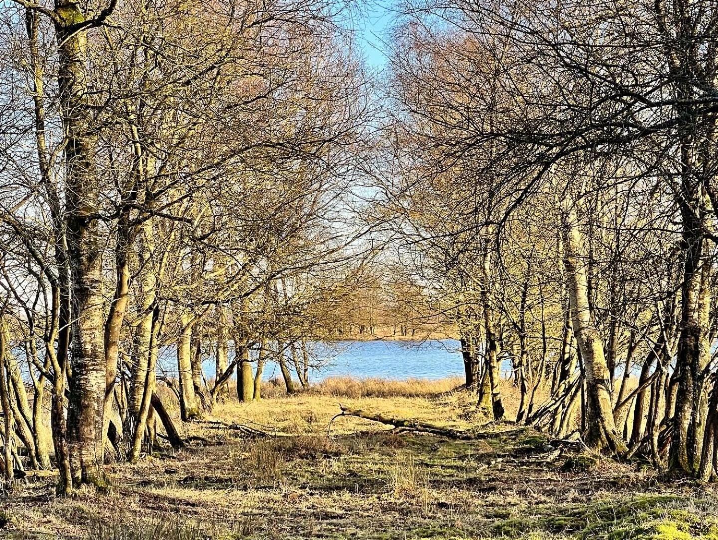Natuurhuisje Meppen Buitenkant foto