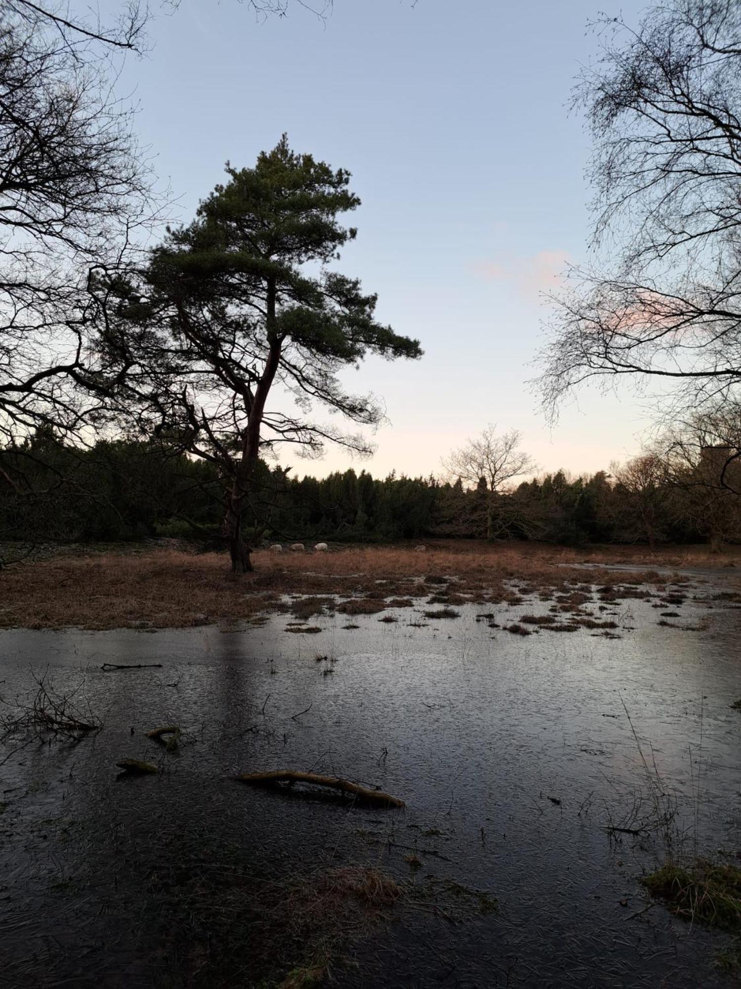 Natuurhuisje Meppen Buitenkant foto