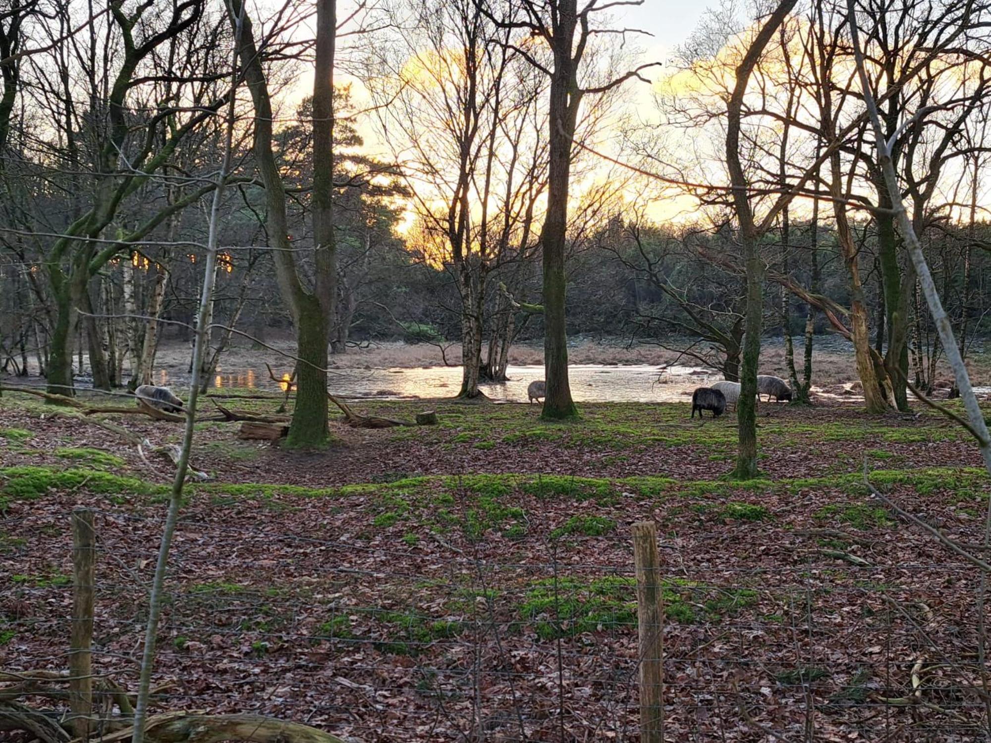 Natuurhuisje Meppen Buitenkant foto