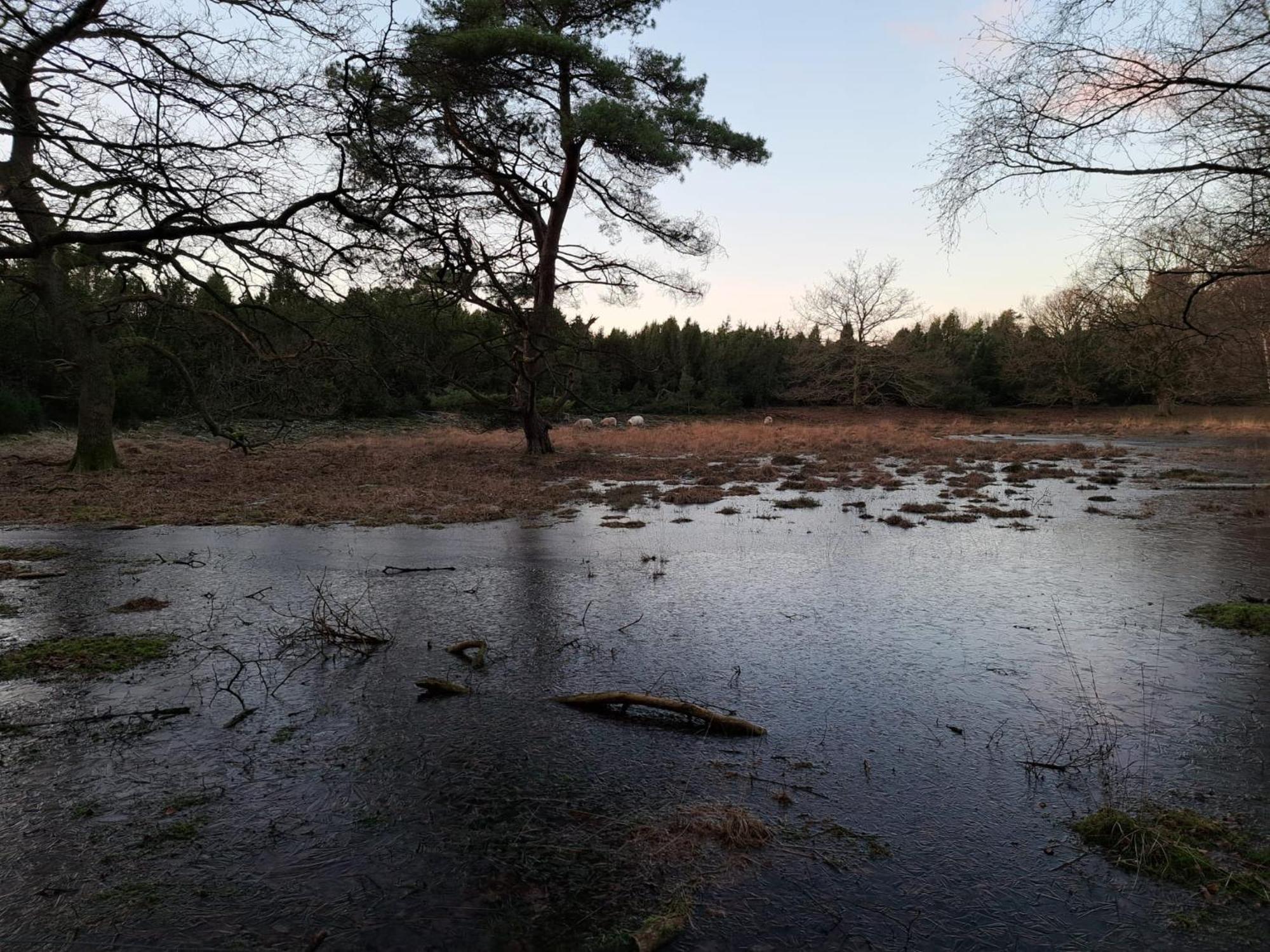 Natuurhuisje Meppen Buitenkant foto