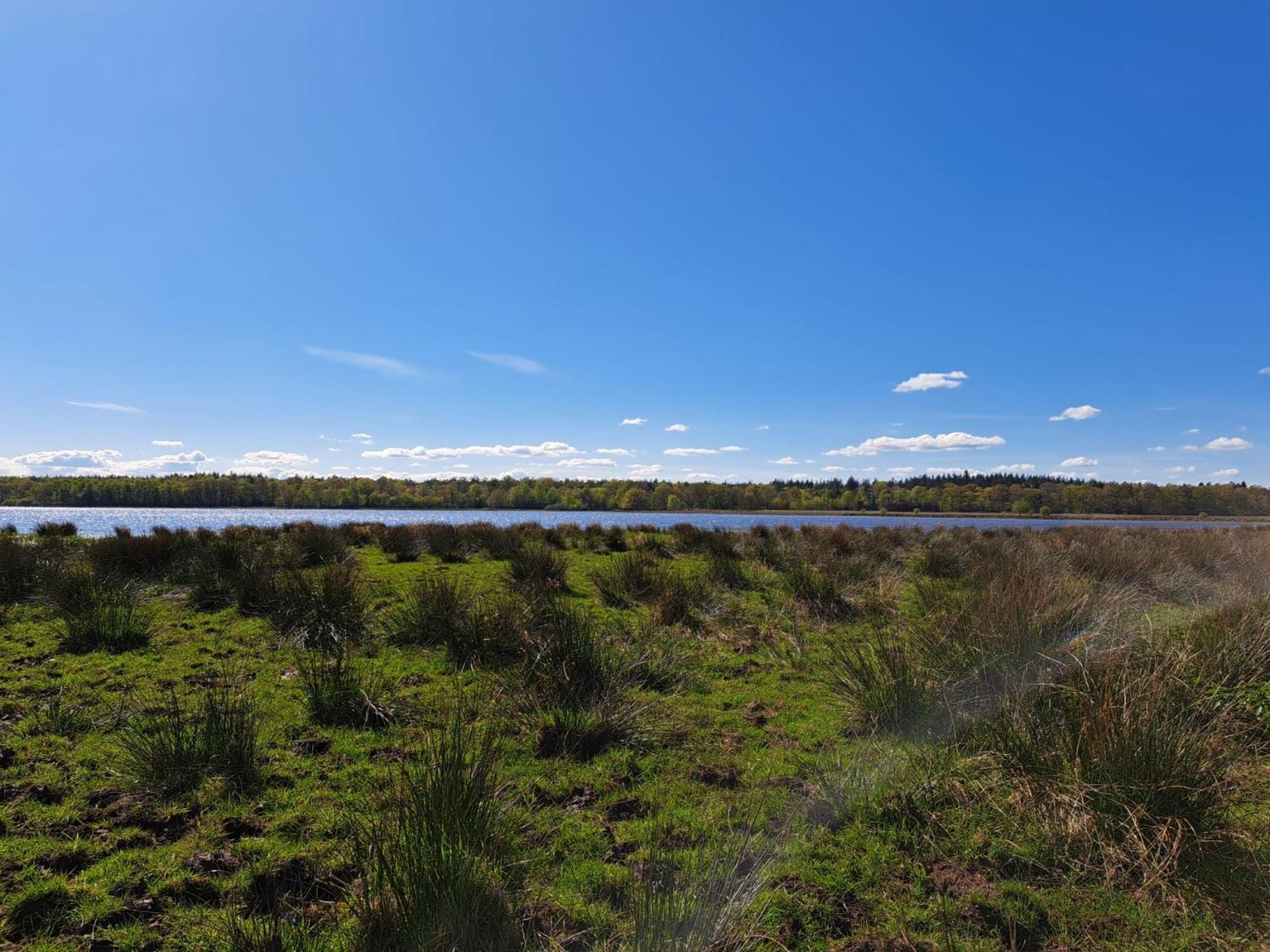 Natuurhuisje Meppen Buitenkant foto