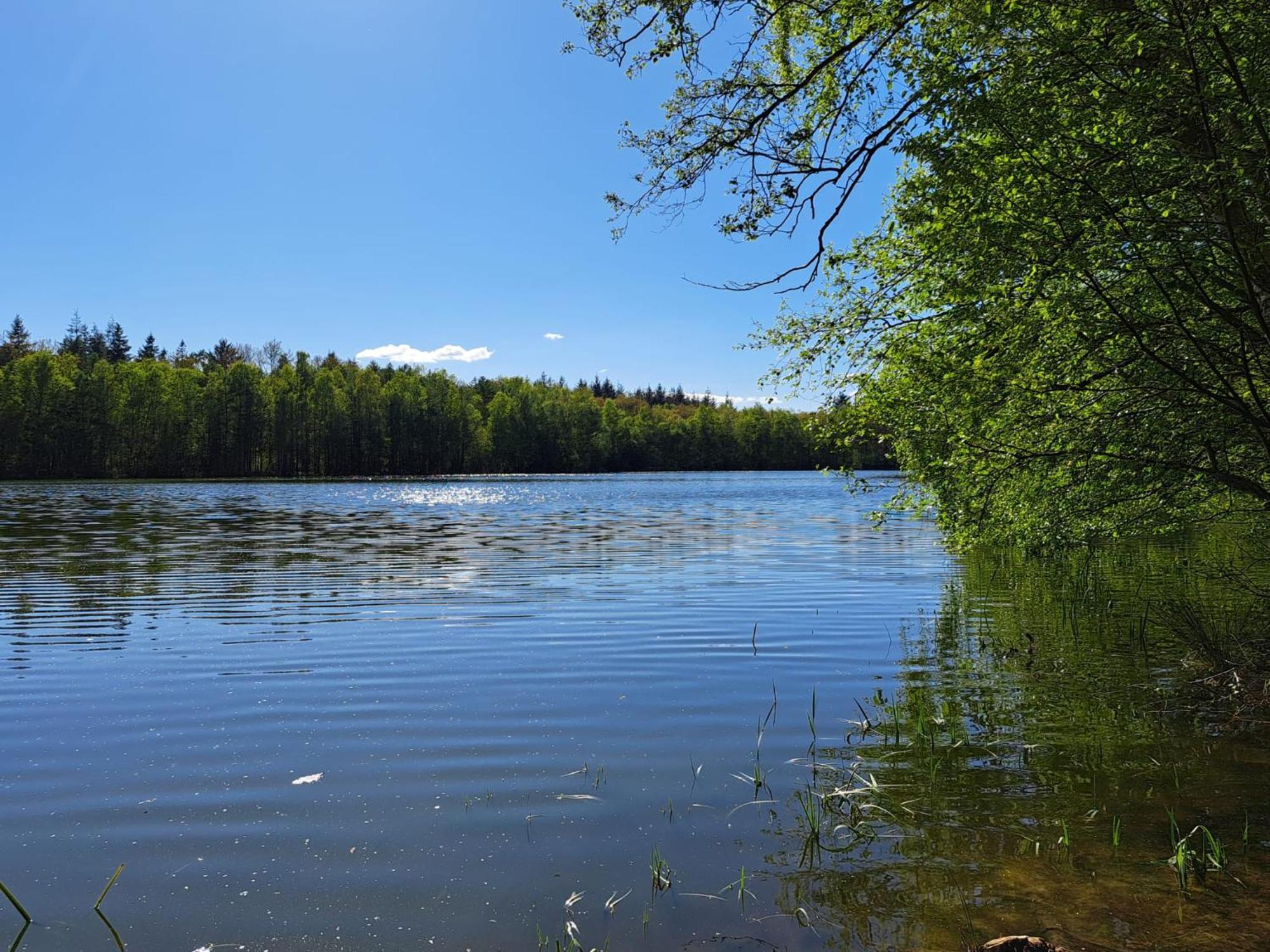 Natuurhuisje Meppen Buitenkant foto