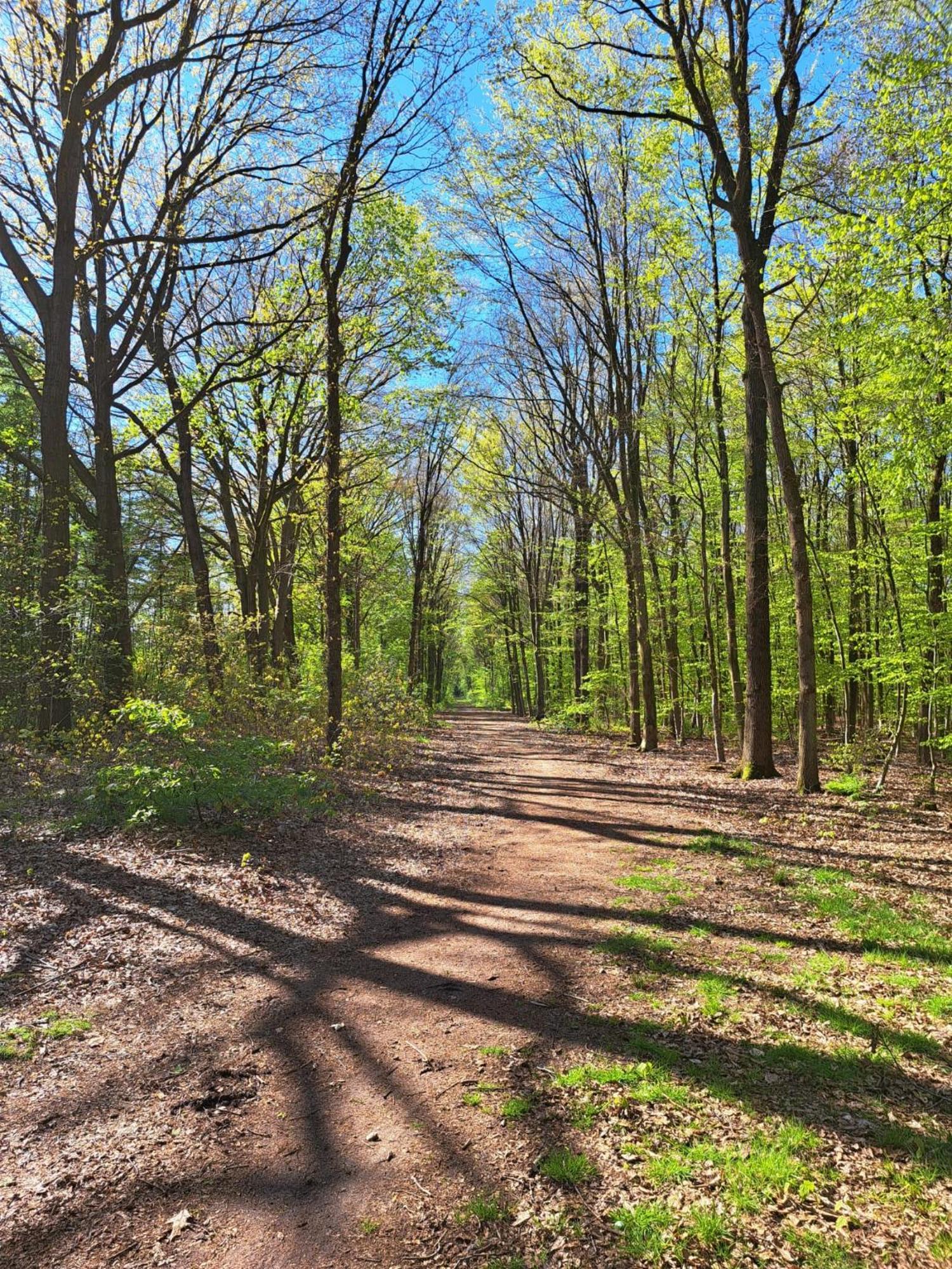 Natuurhuisje Meppen Buitenkant foto